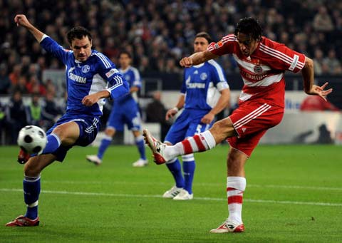 吸引了全球 吸引了全球